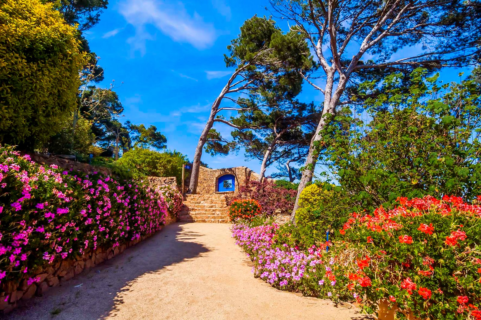 Cap Roig-ის ბოტანიკური ბაღი , Cap Roig botanic garden in costa brava, costa brava, barcelona, spain