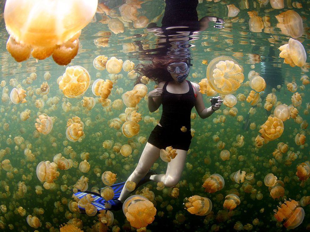 underwater-girl-jellyfish_89910_990x742