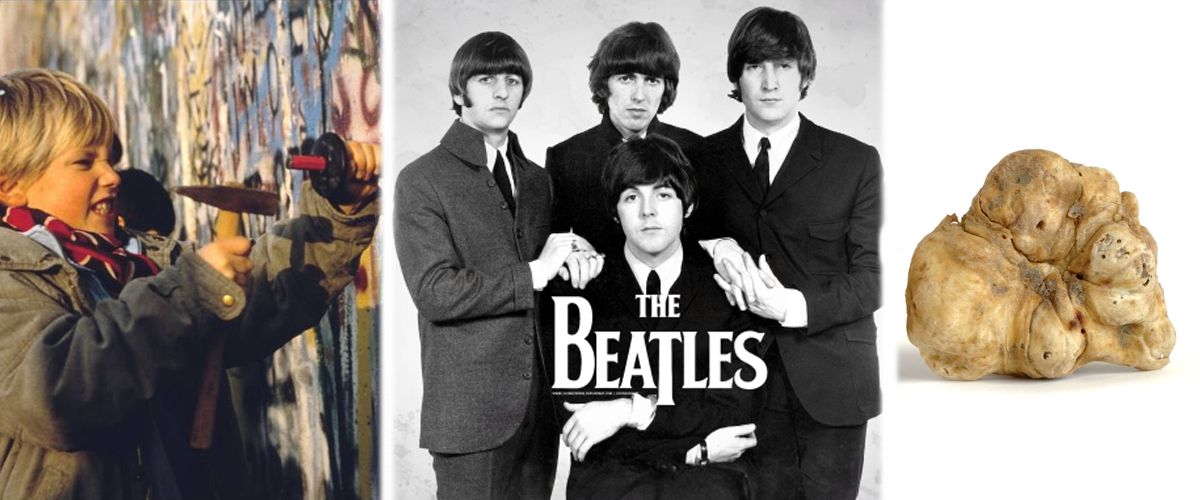 თეთრი ტრუფელი, The Beatles, მსოფლიო თავისუფლების დღე - 9 ნოემბერი